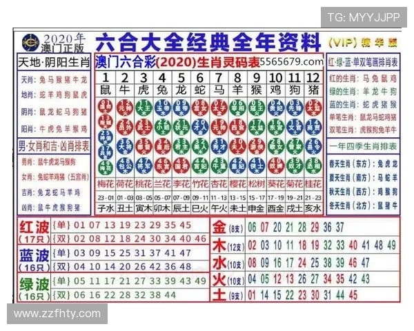 今天澳门彩网开奖结果最新号码查询与分析